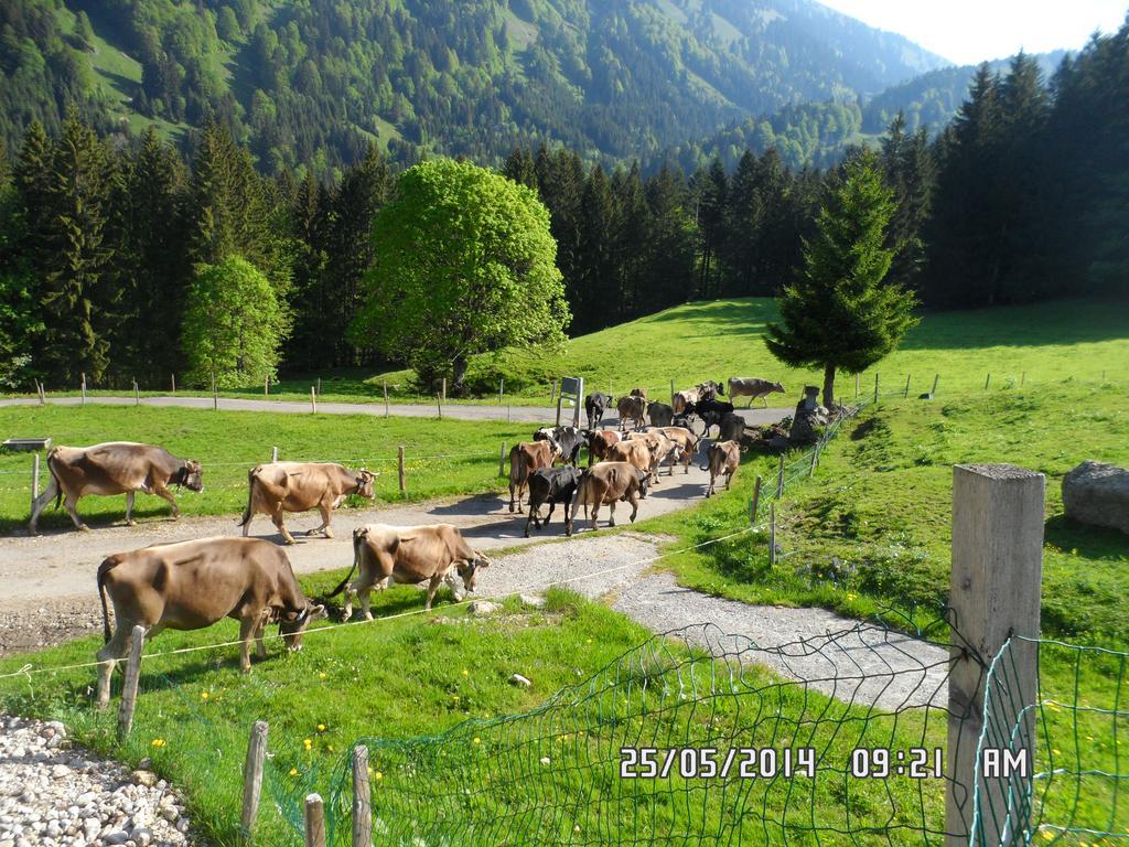 Jausenstation Neuschwand Villa Hittisau Exterior foto