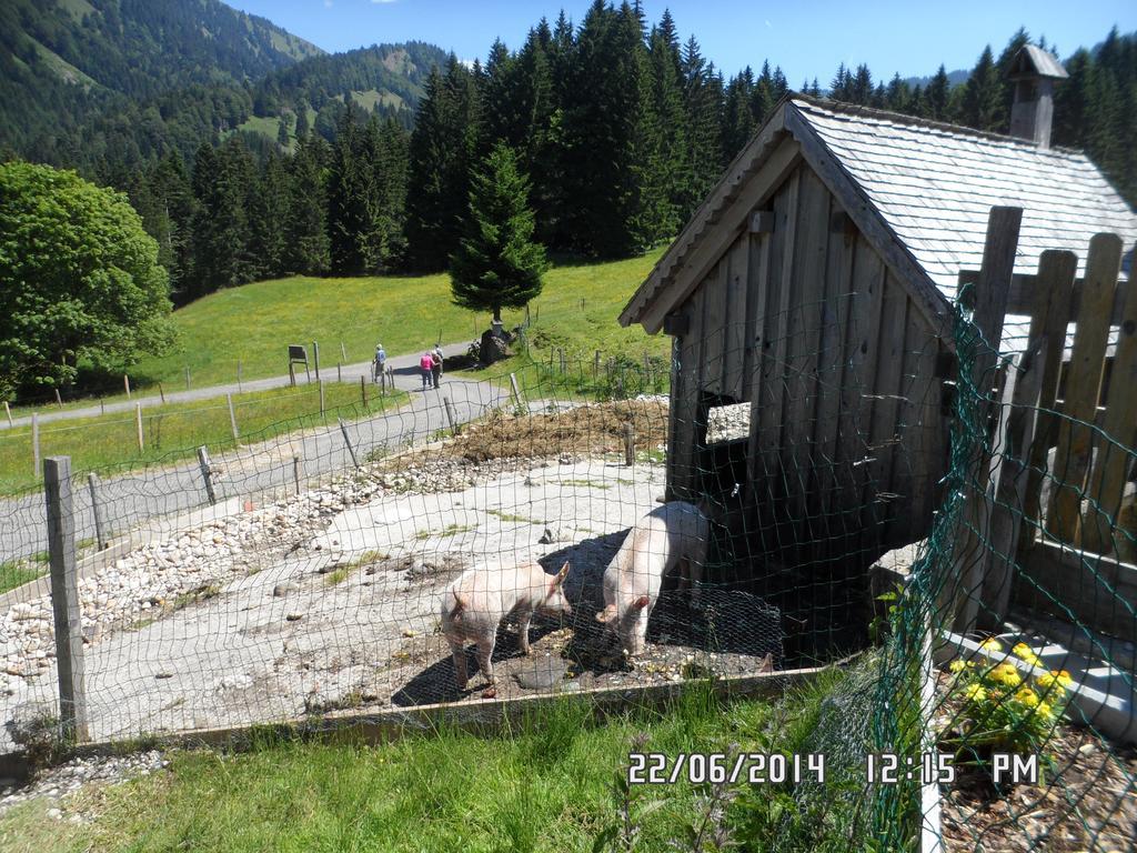Jausenstation Neuschwand Villa Hittisau Exterior foto