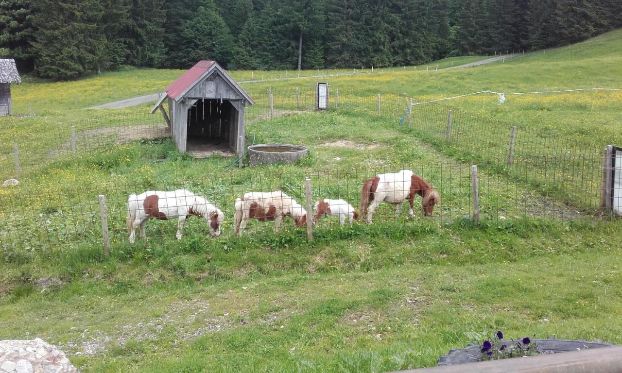 Jausenstation Neuschwand Villa Hittisau Exterior foto